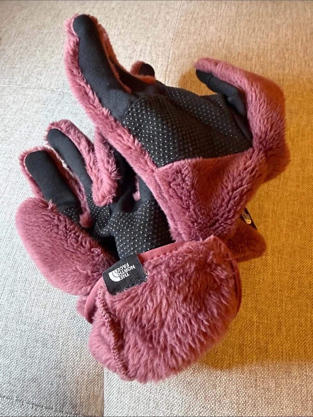 The northface gloves